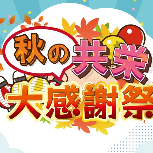 宮之城感謝祭チラシ